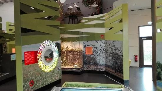 Museums