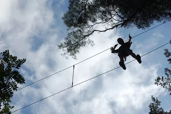 High Adventure Hoghojdsbana