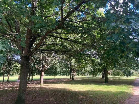 Victoria Cross Grove