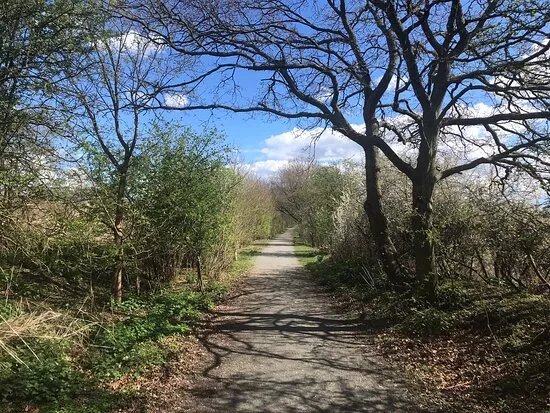 The Ayot Greenway