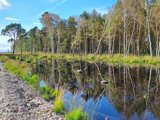 Bissendorfer Moor