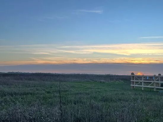 Wallasea Island Wild Coast