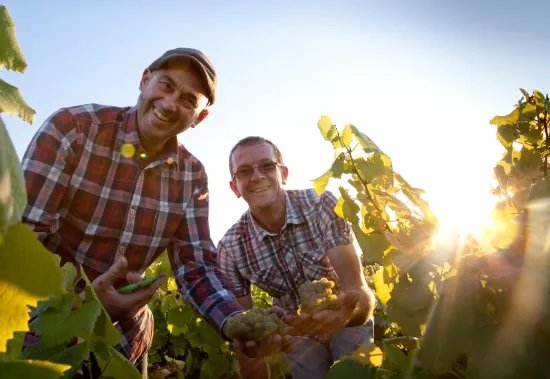 Domaine Poiron Dabin