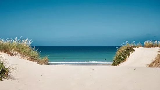 Special Surf 78