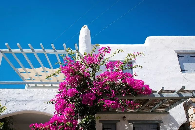 Gorgeous 2 bedroom apartment with sea views in Drios,  near Golden Beach.