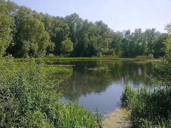 Harrold-Odell Country Park