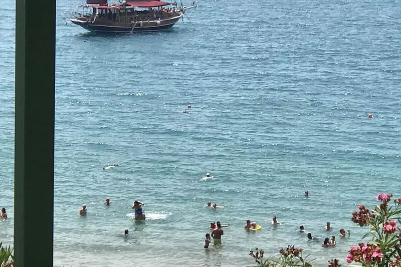 Holiday in the SUN- Taking bookings now .