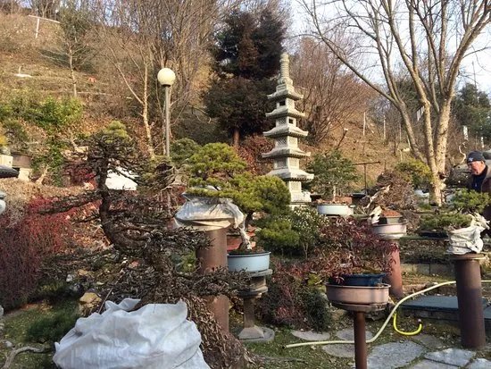 Giardino Museo Bonsai della Serenita