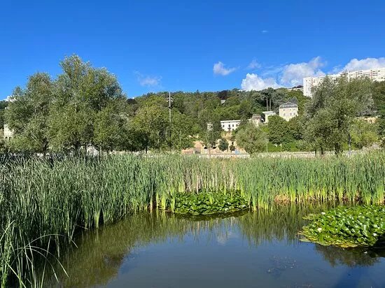 Jardin Aquatique Jean Couty
