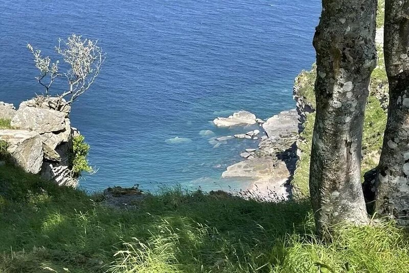Fern Lodge, Moor and Sea, stunning views over Exmoor