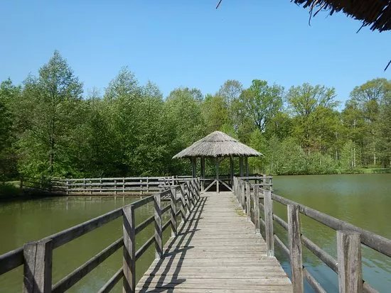 Forest Arboretum of Prof. Stefana Bialoboka in Sycow Forest District