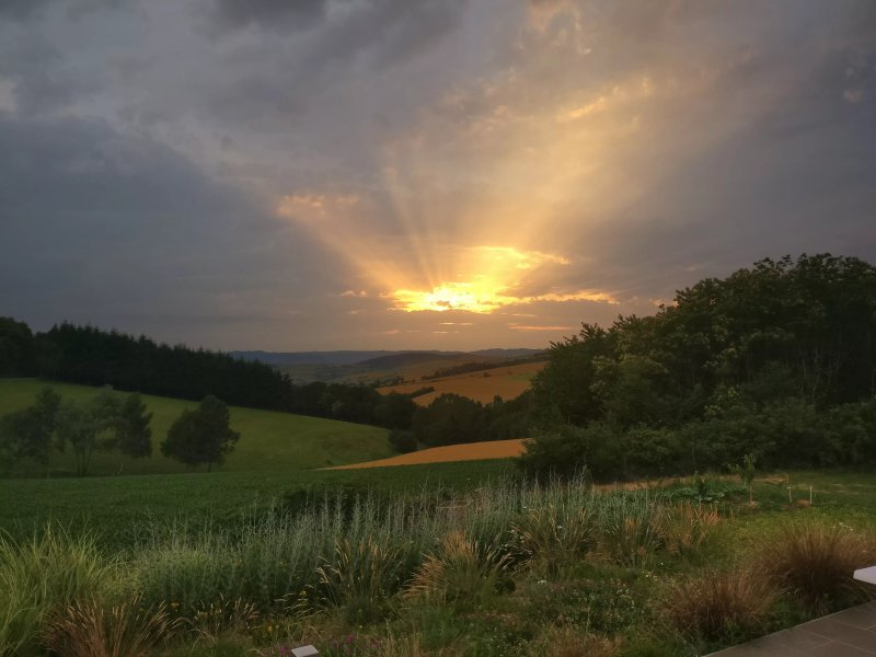 Domaine du Mont Monnet