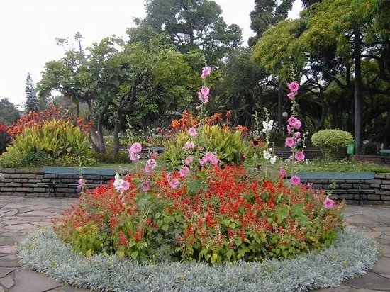 Jardim de Sao Francisco