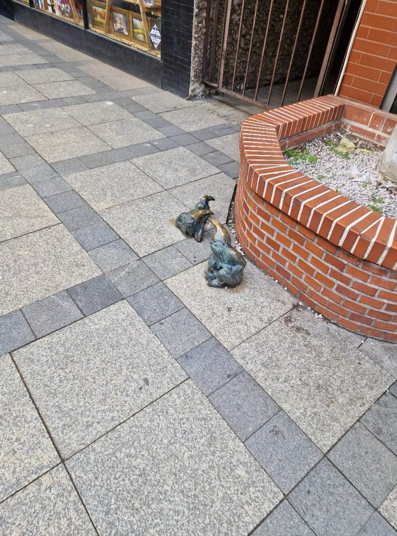 Kransale Grajek I Meloman ( Wroclaw Dwarf Statue  )