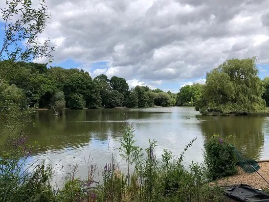 Britten's Pond