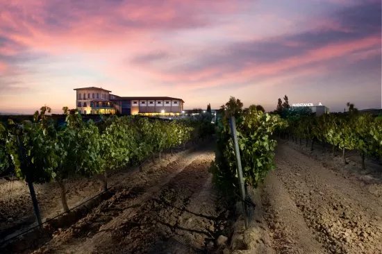 Bodegas Manzanos Azagra