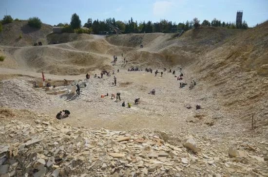 Steinbruch Fur Fossiliensammler