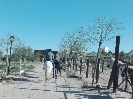 Finca La Constancia