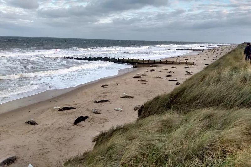 Character house 5 minutes drive to beautiful north Norfolk coast