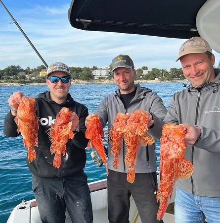 eFISHent Tours
