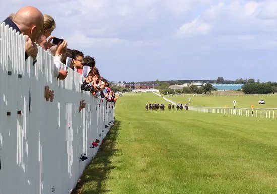Naas Racecourse