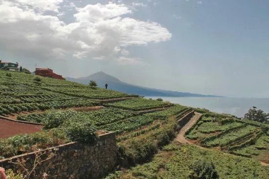 Bodegas Monje