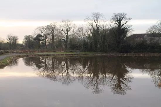 Shaftesbury Park and Carrickfergus Mill Ponds