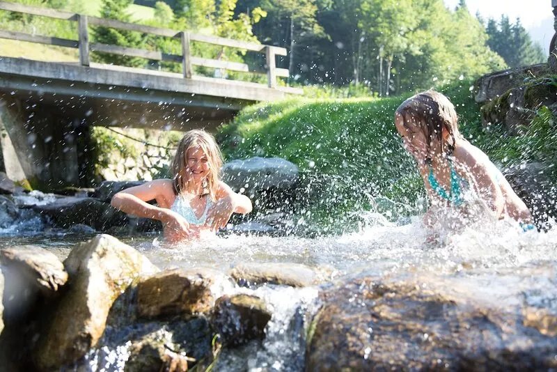 Our adjacent forests are a paradise for nature lovers and hikers