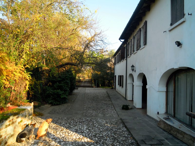 B&B Mulino All'Orso Bianco