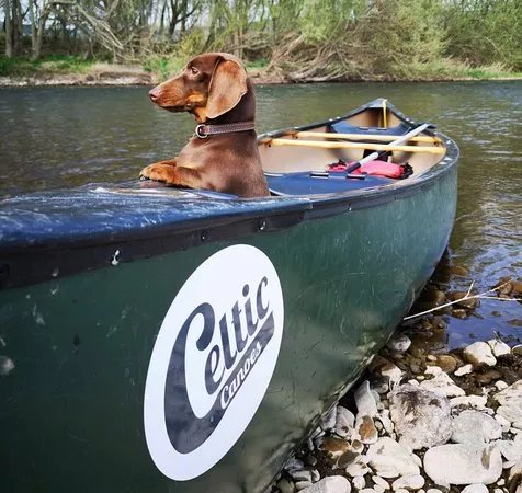 Celtic Canoes