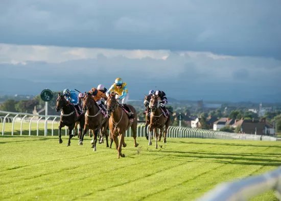 Carlisle Racecourse