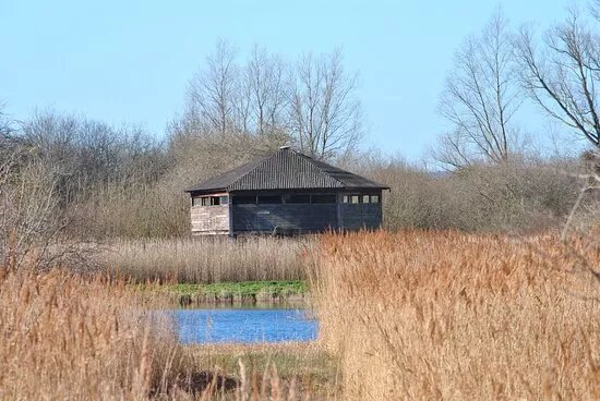 RSPB Fowlmere Nature Reserve