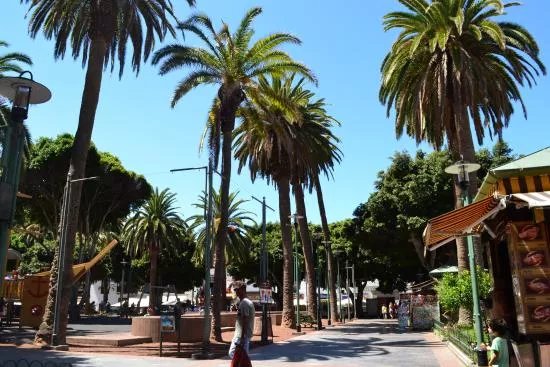 Plaza Charco