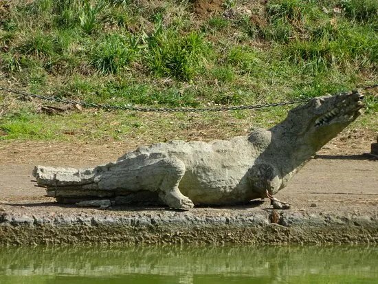 Canopo