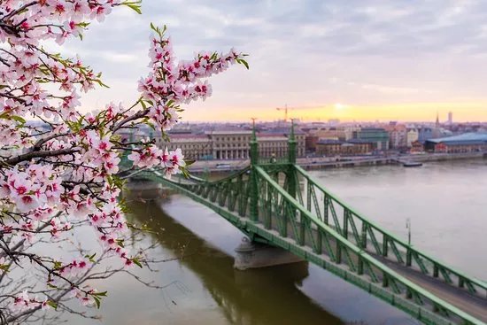 Splendid Budapest Tours