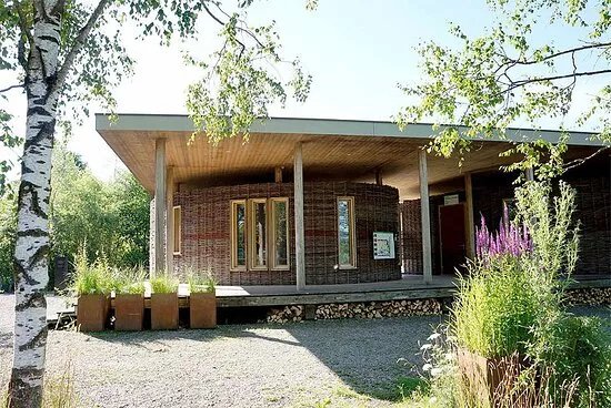 Naturstation Silberweide am Greifensee