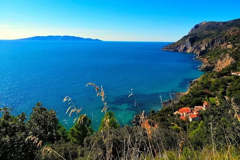 Casa Anita (Wild House) An oasis surrounded by nature 200 meters from the sea