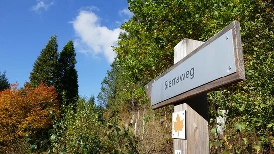 WeltWald Harz