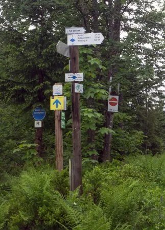 Nordic-Center Notschrei