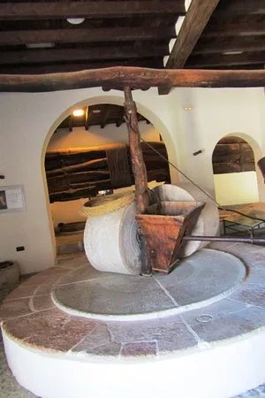 Museo del Aceite, DCOOP