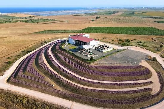 DiVes Winery
