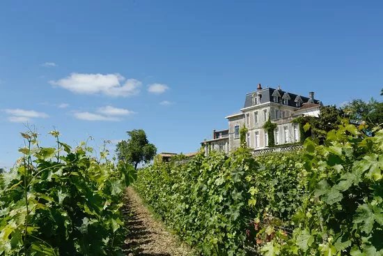 Chateau Gaby