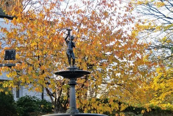 The Black Boy Fountain