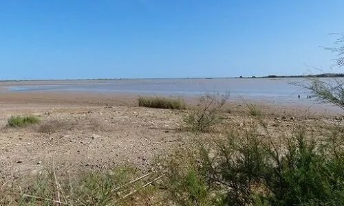 Plage Naturiste De Fleury