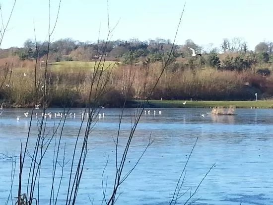 Holmebrook Valley Park