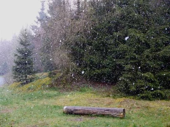 NationalparkZentrum Kellerwald