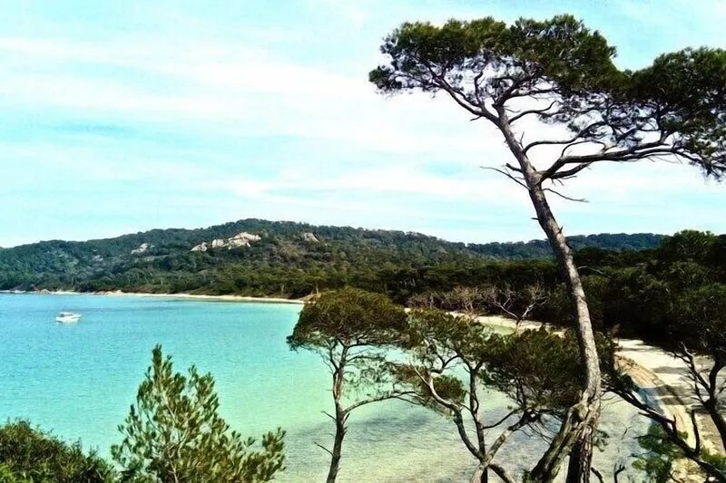 Porquerolles island: T3 air-conditioned sea view