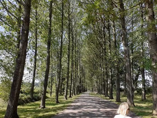 Umberslade Farm Park