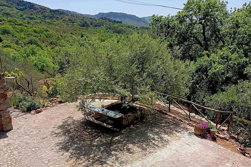 Casa del Vento in San Cono, ancient stone dwelling among olive trees