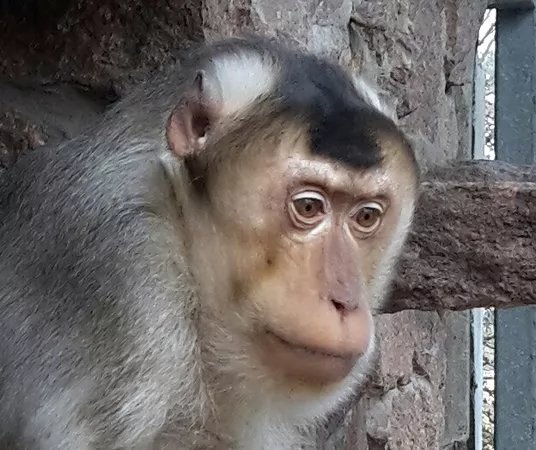 Tierpark Dessau